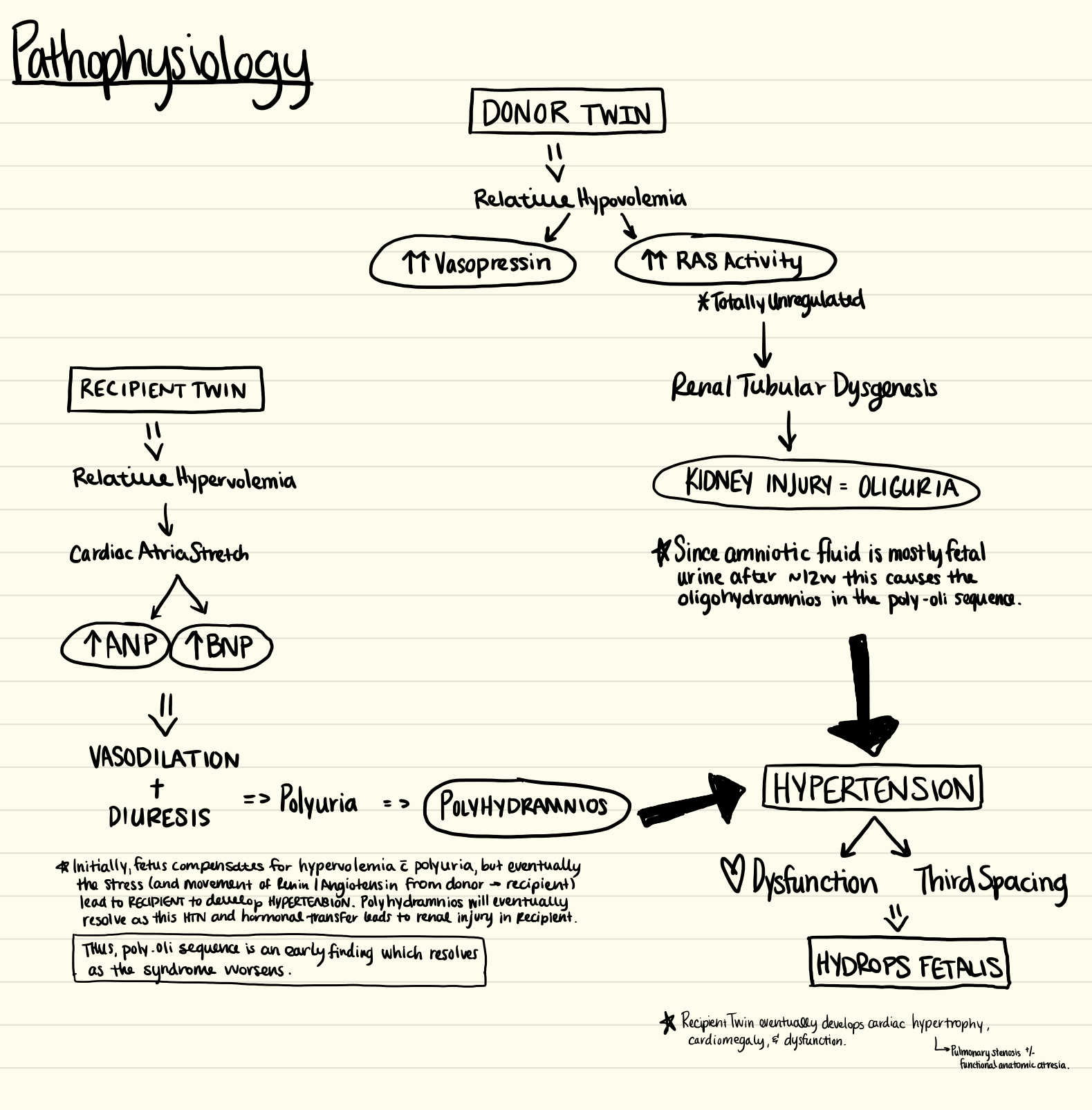 Basic overview of donor and recipient pathophysiology in TTTS.